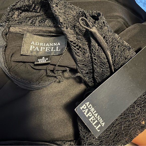 NWT ADRIANNA PAPELL Black Lace Banded Dress (Small) - Picture 6 of 6